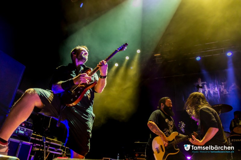 Tamselbärchen - Schweizer Musik Webzine